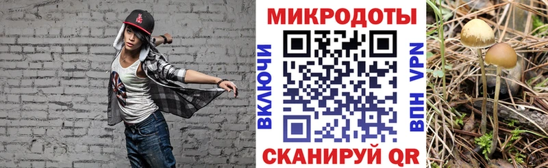 Галлюциногенные грибы Psilocybine cubensis  Курлово 